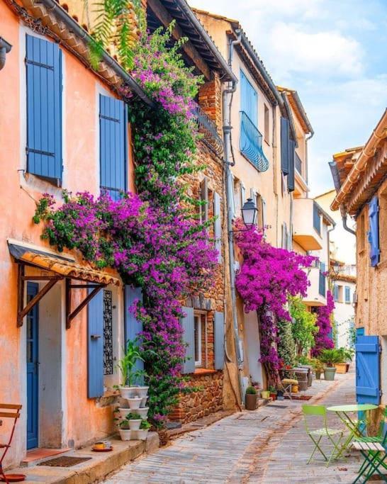 Ferienhaus Domaine Des Vignes Golfe De Saint Tropez Cogolin